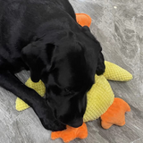 Dog Calming Duck