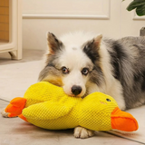 Dog Calming Duck