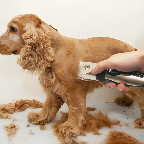 Pet Grooming Kit