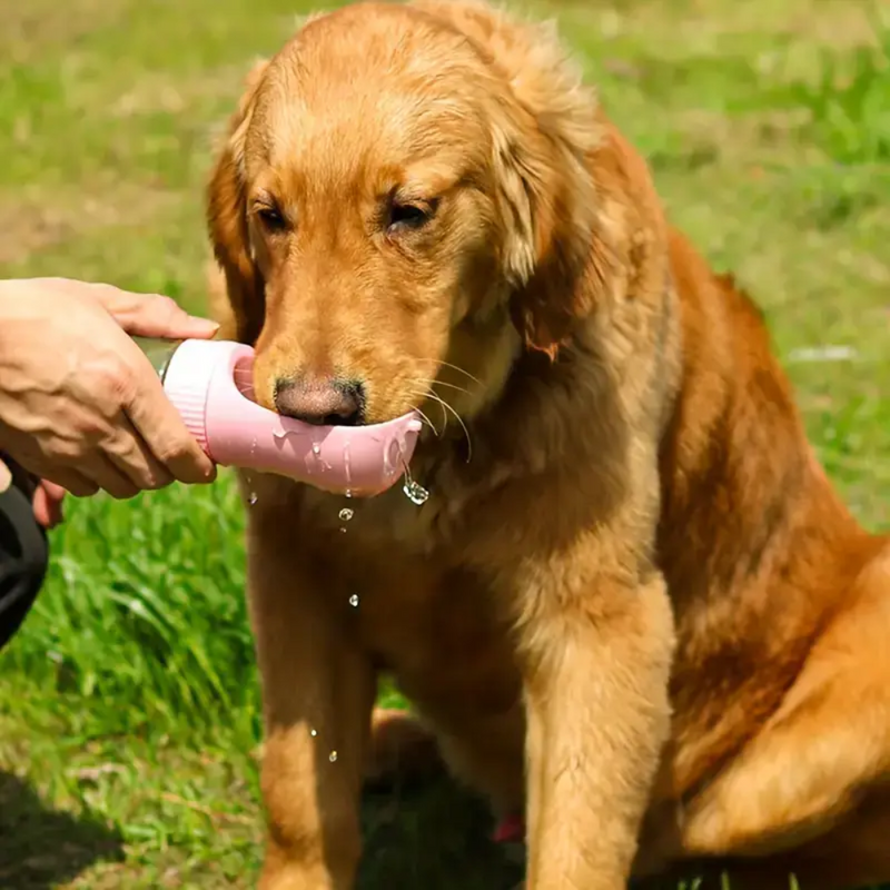 Pet Water Bottle