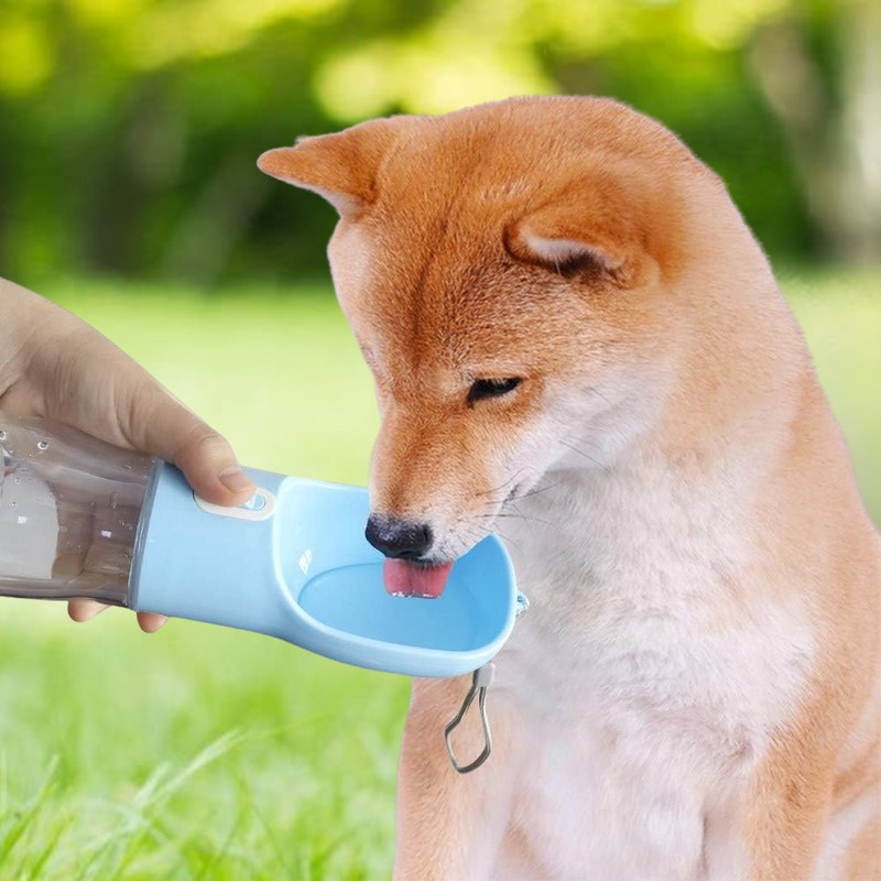 Pet Water Bottle & Snack Holder