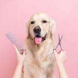 Pet Grooming Kit