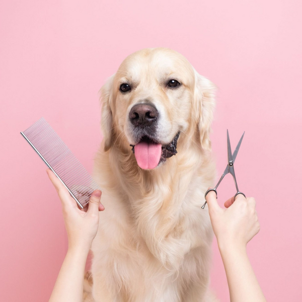 Pet Grooming Kit