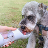 Pet Water Bottle & Snack Holder